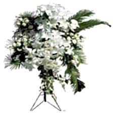 SÜPER LÜX FERFORJE