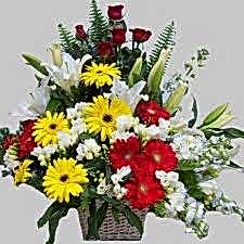 DÜĞÜNE SÜPER ARAJMAN