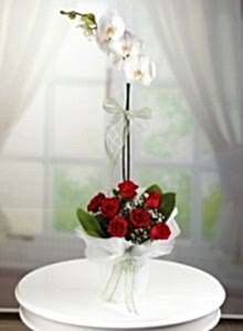 Kampanyanlı Tekli Beyaz Orkide Ve 5 Gülün Şıklığı
