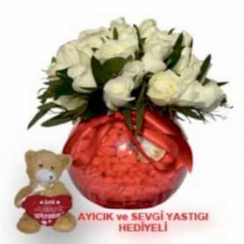 AYICIK ve VAZODA BEYAZ GÜL