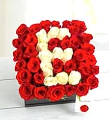  SEVGİNİN BAŞ HARFİ