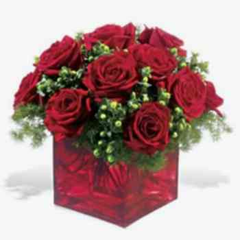 KARE VAZO 15 KIRMIZI GÜL