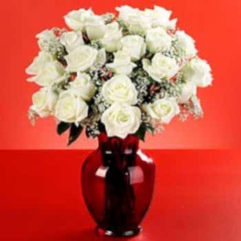 14 BEYAZ GÜL VAZODA