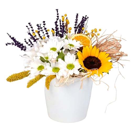 Seramik Vazoda Papatya ve Günebakan