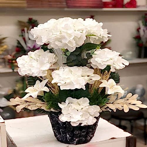 Büyük Dev Ortanca Saksı