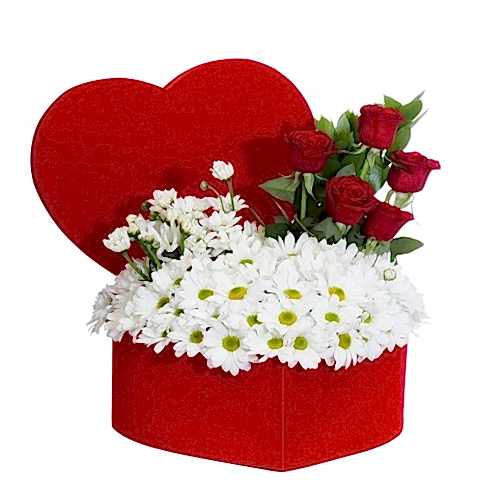 Kalp Kutu Papatya 5 Gül