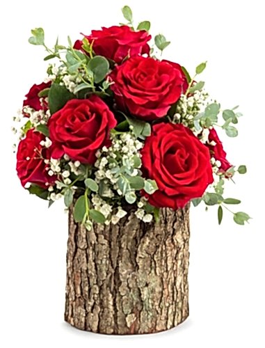 Doğal Kütükte 7 Gül