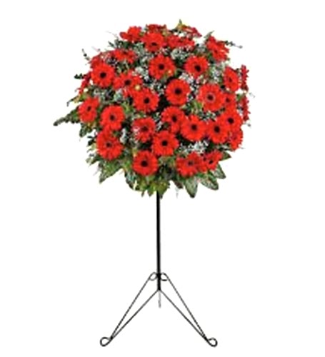 Kırmızı Kuğu Ferforje