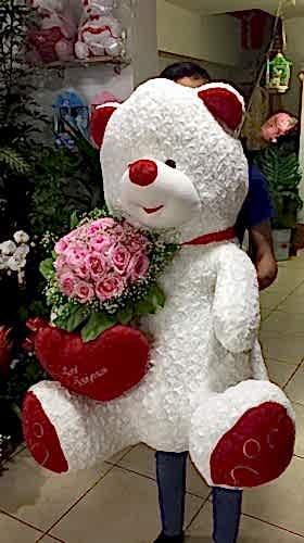 Dev Ayıcık ve Güller