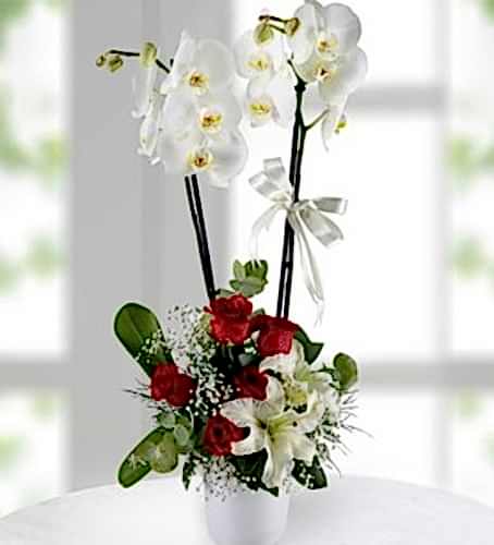 2li Beyaz Orkide Arajmanı