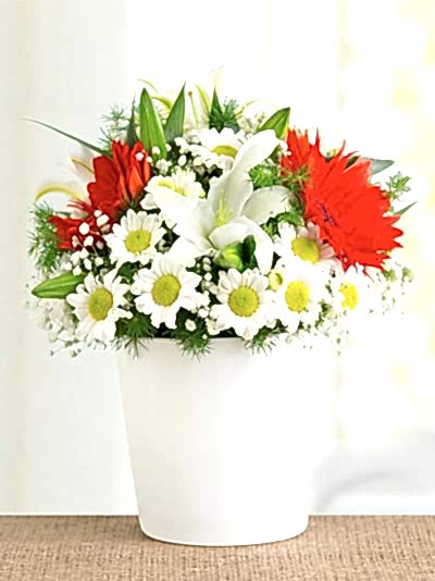 Seramik Vazo Papatyalar