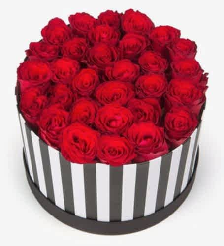 27 Güllü Zebra Kutu