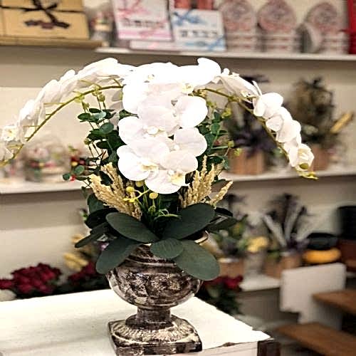 Dört Dal Süper Orkide Tasarım