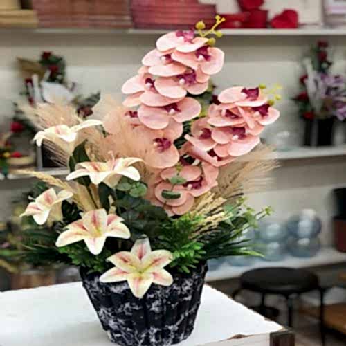 Sarhoş Orkide Süper Vazolu