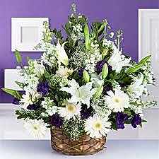 SÜPER DELUX ARAJMAN