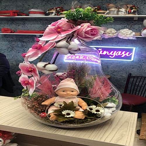 Büyük Boy Kız Bebek Teraryum