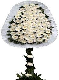 Seçim ve Açılış Çelengi