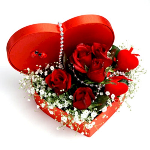  Kalbim Senin 5 Güllü