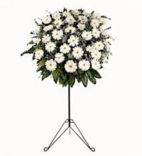 Beyaz Kuğu Ferforje