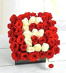  SEVGİNİN BAŞ HARFİ