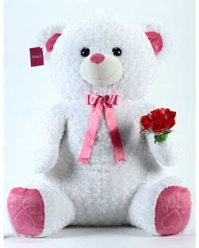 60 cm Ayıcıklı 5 Gül hediyeli