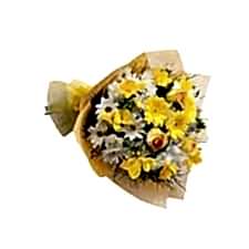 RENKLİ MEVSİM ÇİÇEKLERİ