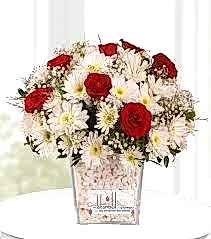 VAZODA GÜLLER PAPATYALAR